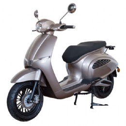 Insetto E-Scooter