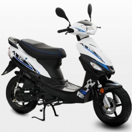 Echo 50cc EEC